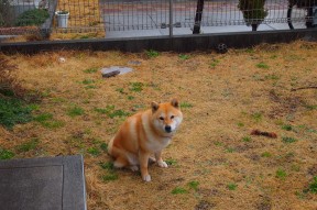 华体会官网-魔术逆转开拓者，米切尔状态火热，点燃逆袭之火