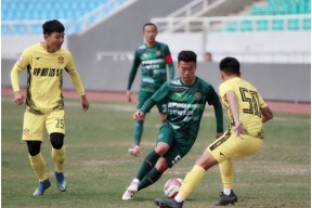 华体会体育-辽宁宏运力克陕西长安，实力有增的简单介绍