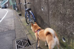 华体会登陆-在麦迪逊的街道上驾驶，当F1的节奏闯入雄鹿的生存狂想