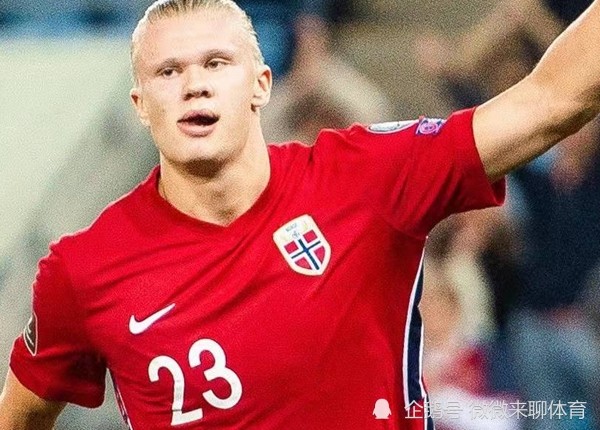 华体会体育-夺冠形势：荷兰队惊险生死战拿下胜利的简单介绍  第2张