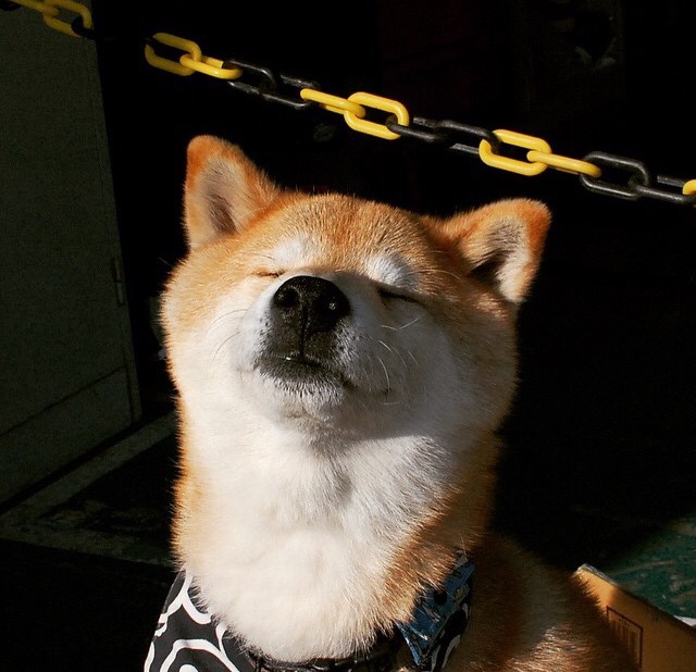 华体会体育-平行宇宙的篡改者，当利拉德在抢七为热火击碎篮网  第2张