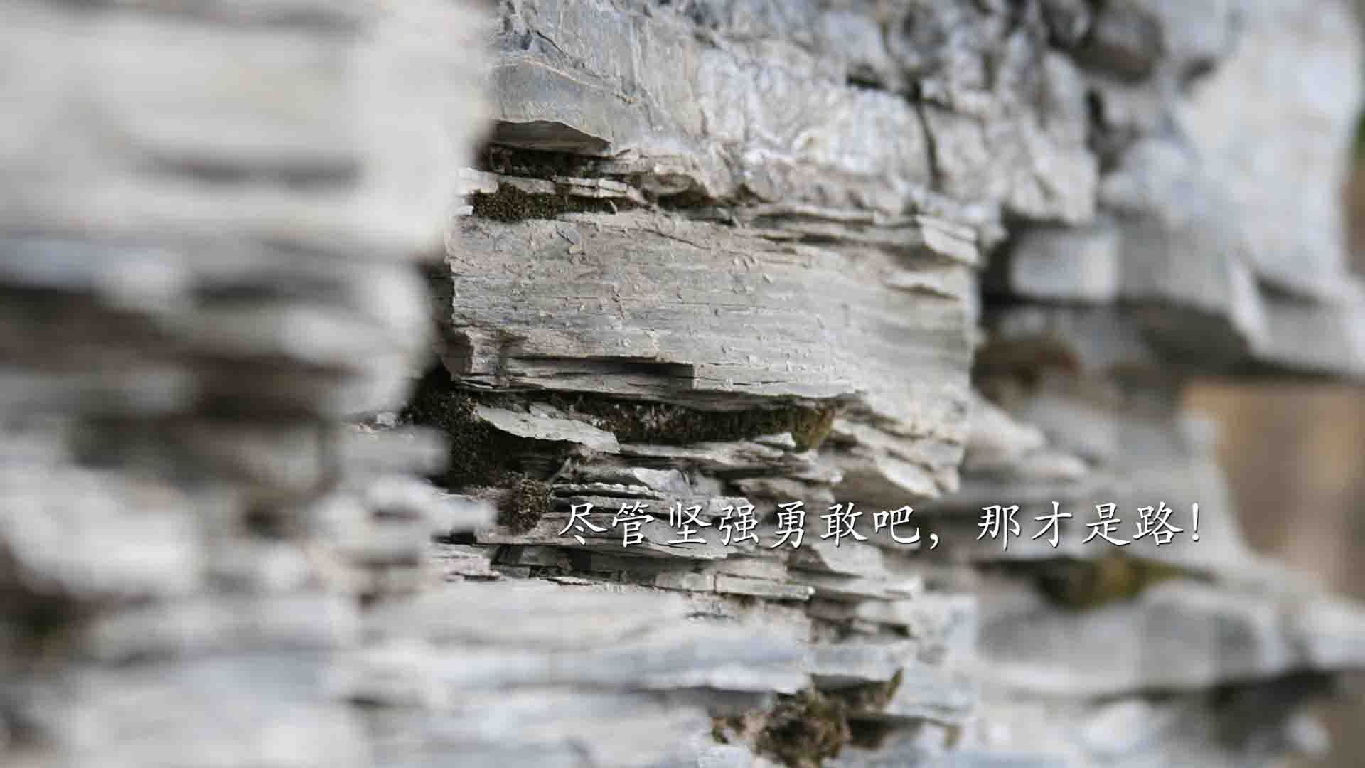 华体会网址-地理的玩笑,拜仁一场热身赛,如何提前终结了阿尔及利亚的美加墨世界杯悬念 第2张 华体会网址-地理的玩笑,拜仁一场热身赛,如何提前终结了阿尔及利亚的美加墨世界杯悬念 第2张